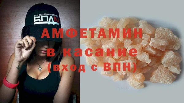 шишки Надым