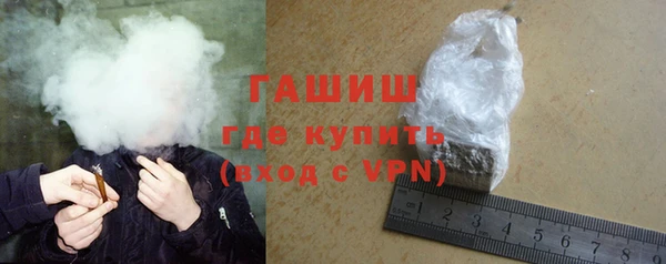 шишки Надым
