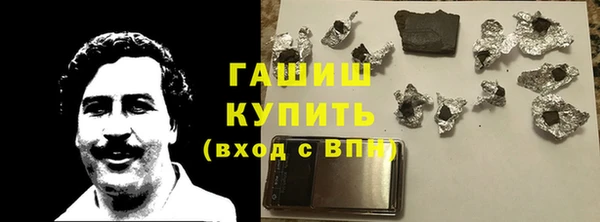 шишки Надым