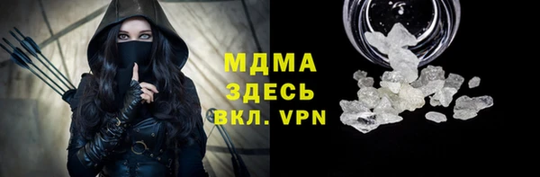 шишки Надым