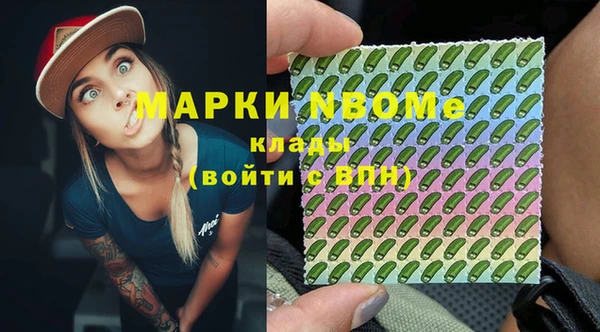 шишки Надым