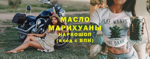 шишки Надым