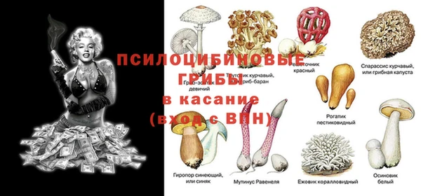дурь Наволоки