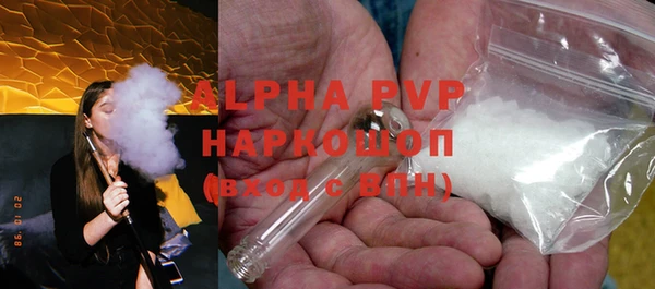 шишки Надым