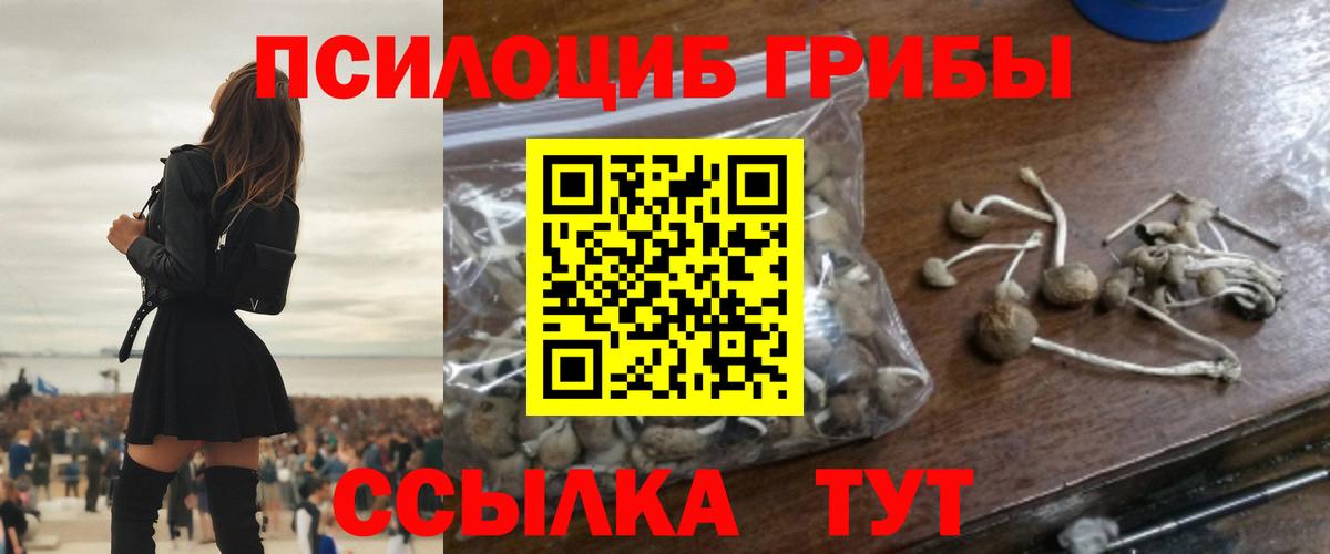 наркошоп  Вход с VPN  Петрозаводск  Псилоцибиновые грибы Magic Shrooms 