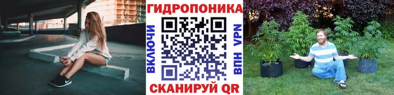 МАРИХУАНА план  Петрозаводск 